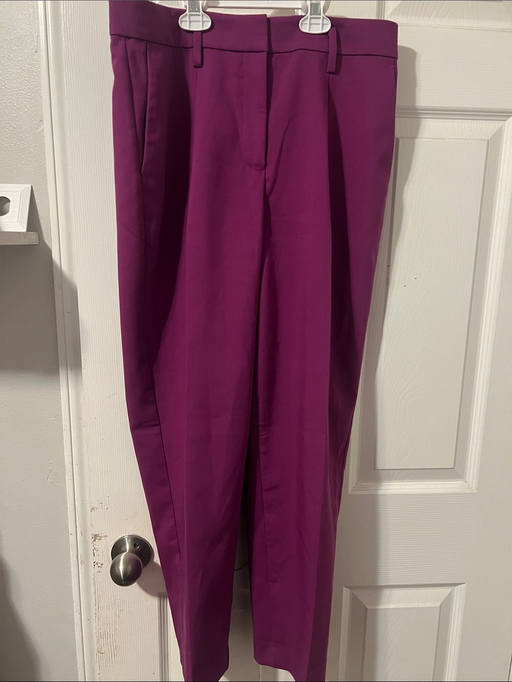 Ann Taylor Women's Plum Straight-Leg Dress Pants